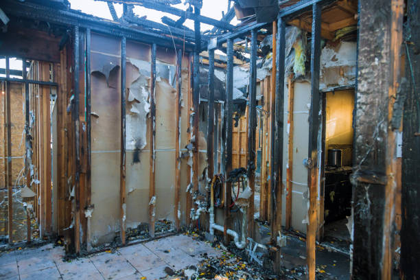 Professional Soot Cleanup technician working in Welch, MN